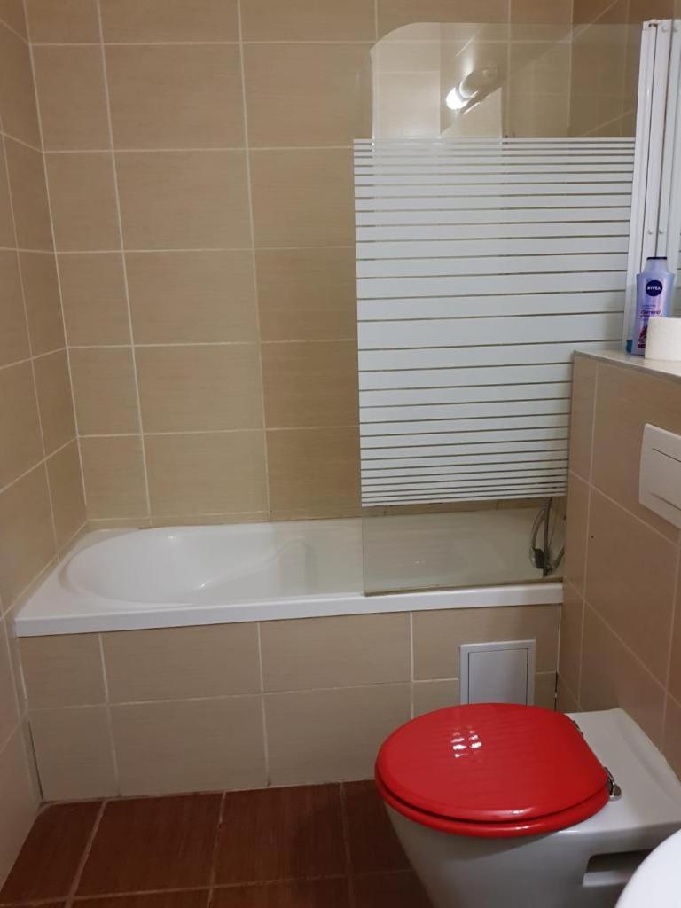 Apartmentsbnb828 Μπρασόβ Εξωτερικό φωτογραφία