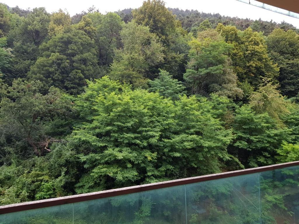Apartmentsbnb828 Μπρασόβ Εξωτερικό φωτογραφία
